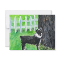 Australian Shepherd sees squirrel Personalized Invites