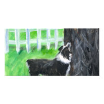 Australian Shepherd sees squirrel Photo Card Template
