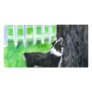 Australian Shepherd sees squirrel Photo Card Template