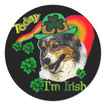 Australian Shepherd St. Pattys stickers