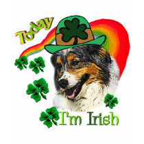 Australian Shepherd St. Pattys t-shirts