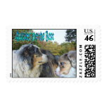 Australian Shepherd Stamp