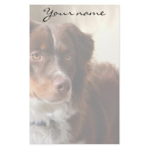 Australian Shepherd stationary Stationery Paper