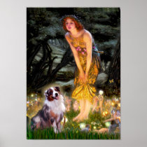 Australian Shepherd (Tri2) - Midsummer's Eve Poster