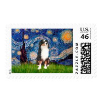 Australian Shepherd (Tri2) - Starry Night Stamp