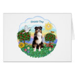 Australian Shepherd (Tri-B) (1) Card