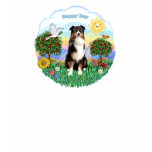 Australian Shepherd (Tri-B) (1) t-shirts