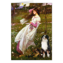 Australian Shepherd (Tri) - Windflowers Card