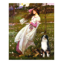 Australian Shepherd (Tri) - Windflowers posters by masterpiecedogs Australian Shepherd (Tri) - Windflowers posters