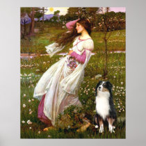Australian Shepherd (Tri) - Windflowers Posters