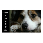Australian Shepherd Working Dog Shelter Card Business Card Template