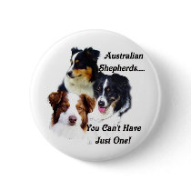Australian shepherds button