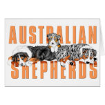 Australian Shepherds Card