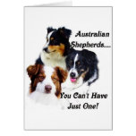 Australian shepherds greeting card