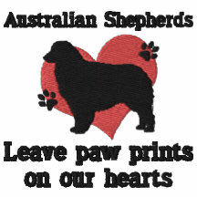 Australian Shepherds Leave Paw Prints