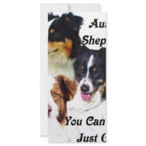 Australian shepherds rack card template