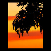 Australian Silhouette Sunset Sky Print posters