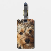 Australian Silky Terrier Travel Bag Tag
