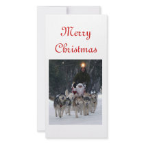 Australian Sleddog Tours Photo Card