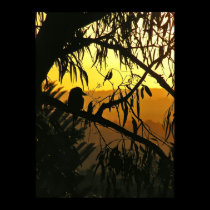 Australian Solstice Sunset Poster posters by webgrrl Australian Solstice Sunset Poster posters