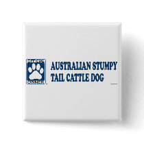 Australian Stumpy Tail Cattle Dog Blue Pinback Buttons