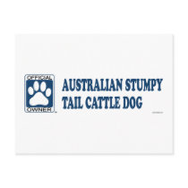 Australian Stumpy Tail Cattle Dog Blue Postcards