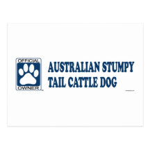 Australian Stumpy Tail Cattle Dog Blue Postcards
