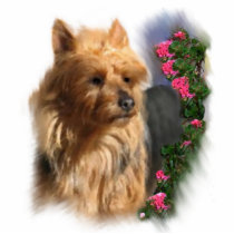 Australian Terrier Art Gifts photo sculptures by DogsByDezign Australian Terrier Art Gifts photo sculptures