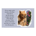 Australian Terrier Art Gifts print