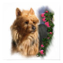 Australian Terrier Art Gifts posters by DogsByDezign Australian Terrier Art Gifts posters