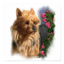 Australian Terrier Art Gifts posters