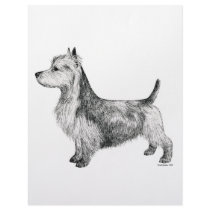 Australian Terrier letterhead