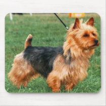 Australian Terrier Mousepad mousepads