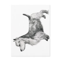 Australian Terrier postcards by cathylester Australian Terrier postcards