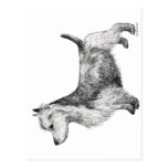 Australian Terrier Postcards