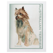 Australian Terrier sit flyers