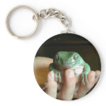 Australian Tree Frog Keychain