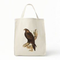 Australian Wedge Tailed Eagle. Huge Bird of Prey. Bags