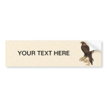Australian Wedge Tailed Eagle. Huge Bird of Prey. Bumper Stickers