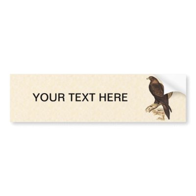 Australian Wedge Tailed Eagle. Huge Bird of Prey. Bumper Stickers by realaussie