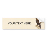 Australian Wedge Tailed Eagle. Huge Bird of Prey. Bumper Stickers