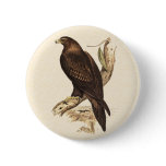 Australian Wedge Tailed Eagle. Huge Bird of Prey. buttons