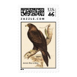 Australian Wedge Tailed Eagle. Huge Bird of Prey. Postage Stamp