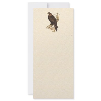 Australian Wedge Tailed Eagle. Huge Bird of Prey. Customized Rack Card by realaussie