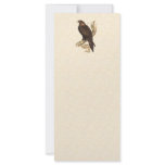 Australian Wedge Tailed Eagle. Huge Bird of Prey. rack cards