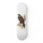Australian Wedge Tailed Eagle. Huge Bird of Prey. skateboards