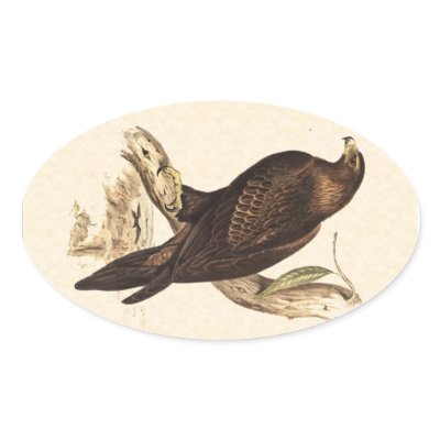 Australian Wedge Tailed Eagle. Huge Bird of Prey. Oval Sticker by realaussie