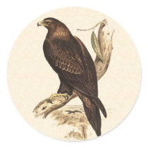 Australian Wedge Tailed Eagle. Huge Bird of Prey. Stickers