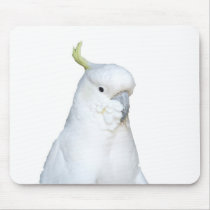 Australian White Cockatoo Mousepad by PhotoPixie Australian White Cockatoo Mousepad