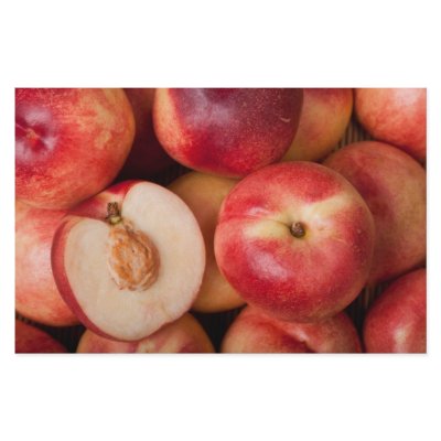 Australian white flesh nectarine stationery by joxxxxjo